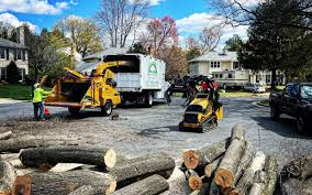 Mulching Services in Milford Square, PA